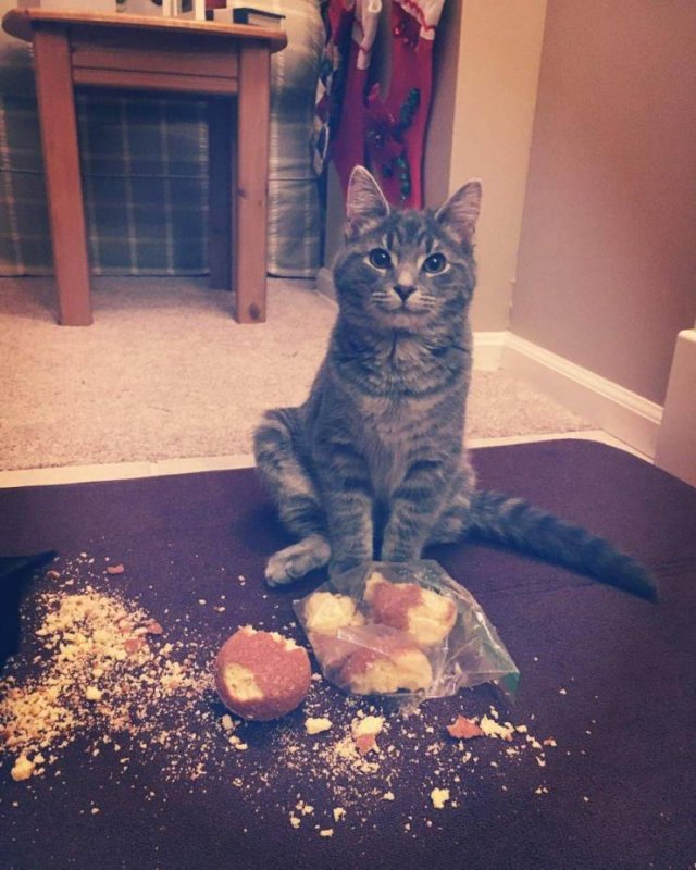 Bad Days Happen (42 pics)