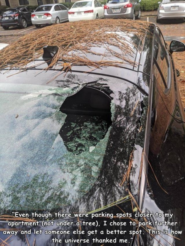 Bad Days Happen (42 pics)