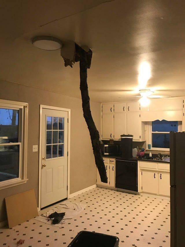 Bad Days Happen (42 pics)