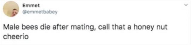 Funny Tweets (29 pics)