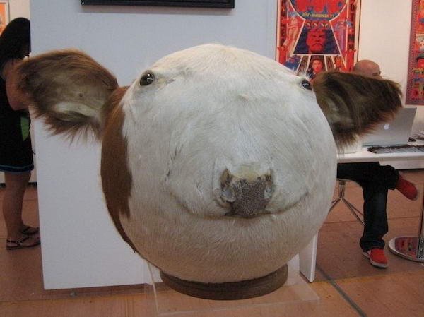 What's Going On? (36 pics)