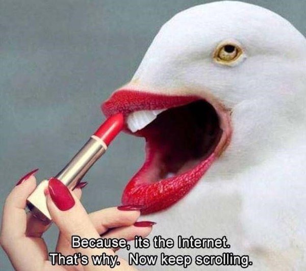 What's Going On? (36 pics)