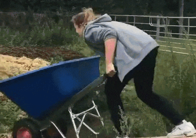 Acid Gifdump, November 4 (25 gifs)