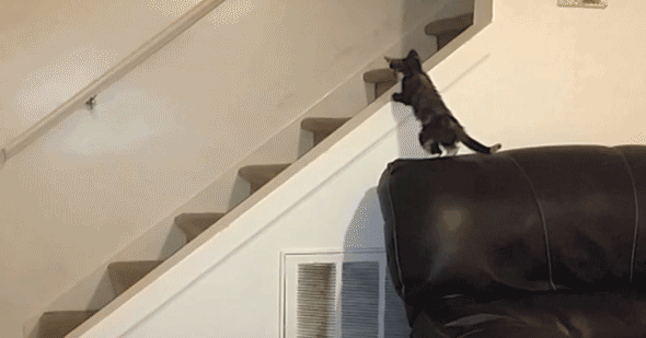 Acid Gifdump, November 4 (25 gifs)