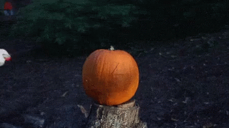 Acid Gifdump, November 4 (25 gifs)