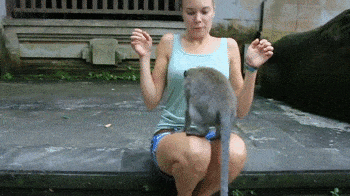 Acid Gifdump, November 4 (25 gifs)