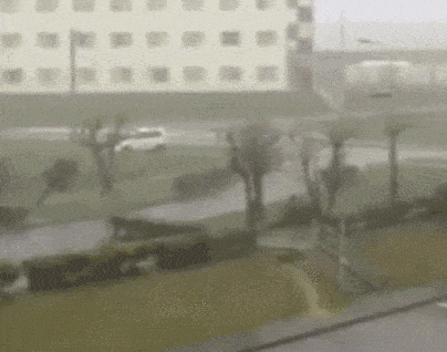 Acid Gifdump, November 4 (25 gifs)