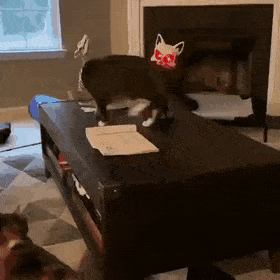 Acid Gifdump, November 4 (25 gifs)