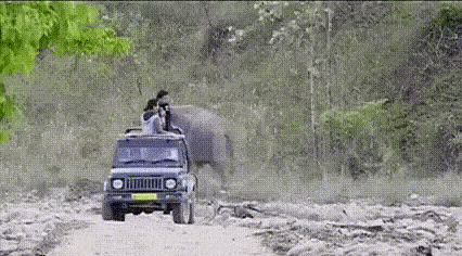 Acid Gifdump, November 4 (25 gifs)