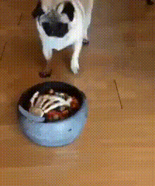 Acid Gifdump, November 4 (25 gifs)
