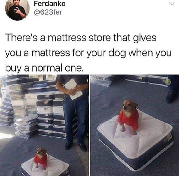 Wholesome Stories (45 pics)