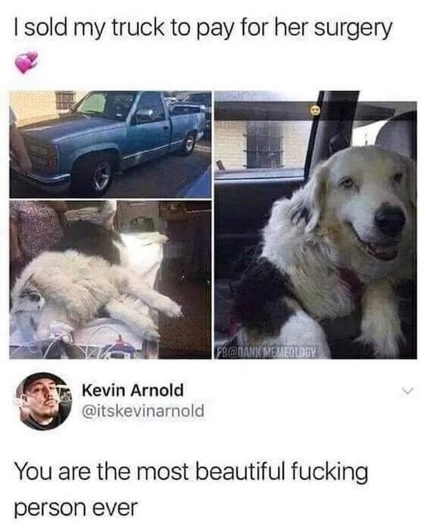Wholesome Stories (45 pics)