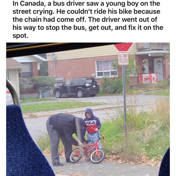 Wholesome Stories (45 pics)