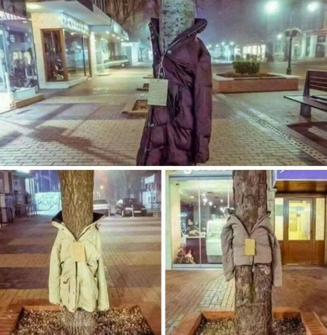 Wholesome Stories (45 pics)