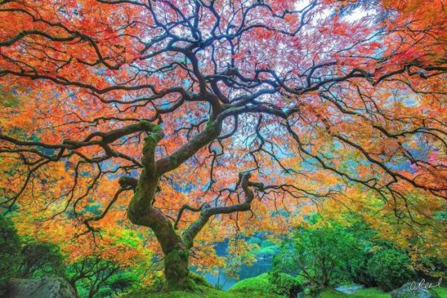 Acid Picdump. Part 2 (94 pics)