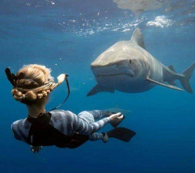 Acid Picdump. Part 2 (94 pics)