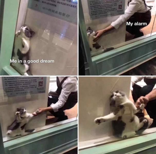Acid Picdump. Part 2 (94 pics)