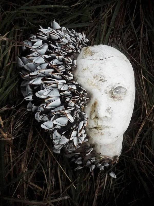 The Power Of Nature (25 pics)