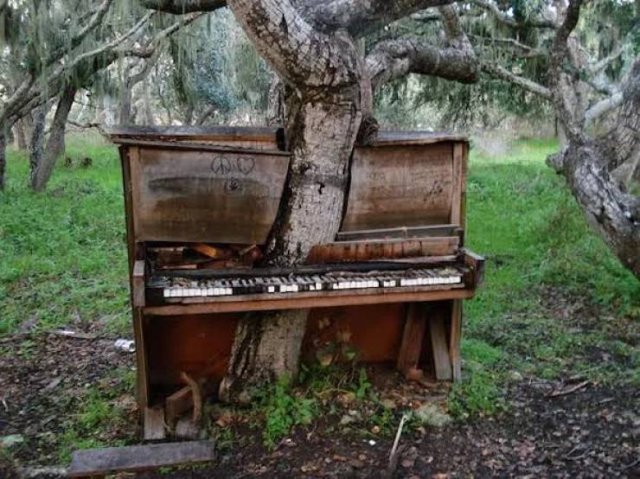 The Power Of Nature (25 pics) The Power Of Nature (25 pics)