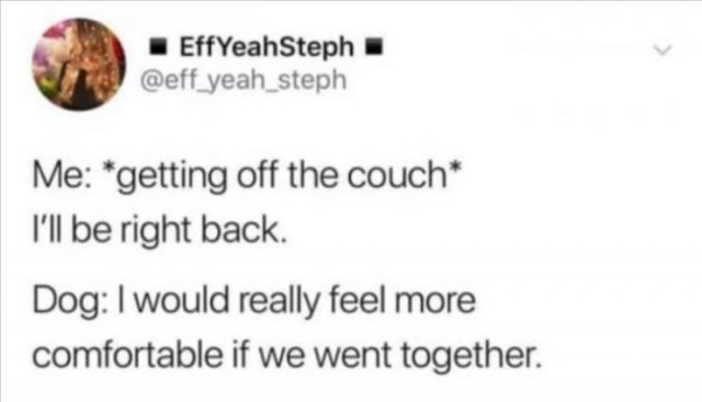 Funny Tweets (28 pics)