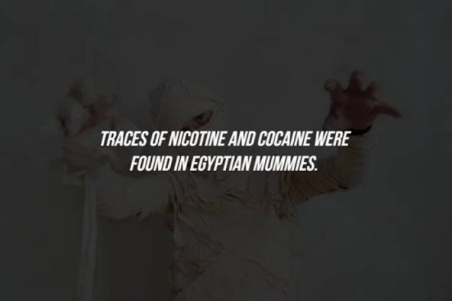 Facts About Drugs (20 pics)