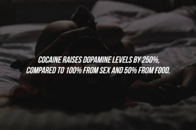 Facts About Drugs (20 pics)