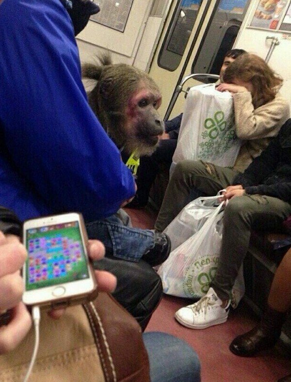 Weird Subway Passengers (39 pics)