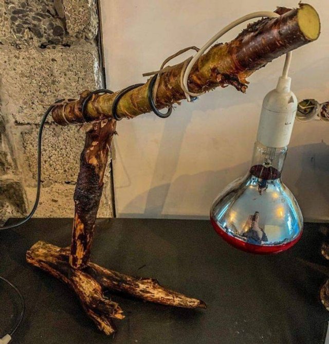 Some Solutions Are Not Smart (40 pics)