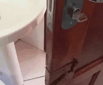 Some Solutions Are Not Smart (40 pics)