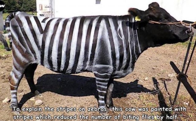 Acid Picdump. Part 2 (94 pics)