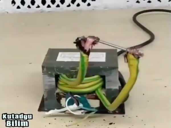 Why Are Fires From Electrical Contacts Dangerous