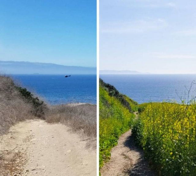 Comparisons Matters (21 pics) Comparisons Matters (21 pics)