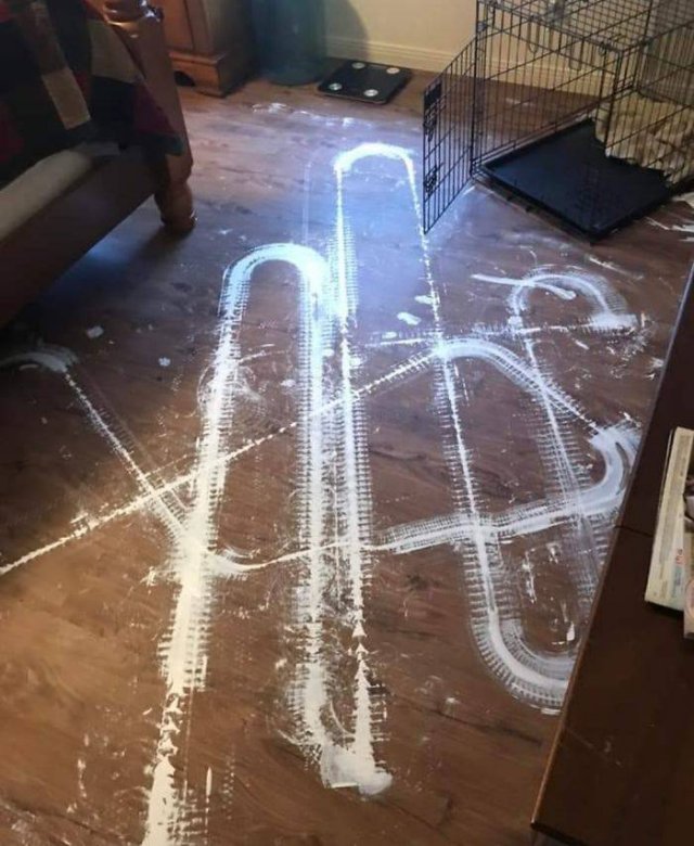 Vacuum Cleaning Fails (50 pics)