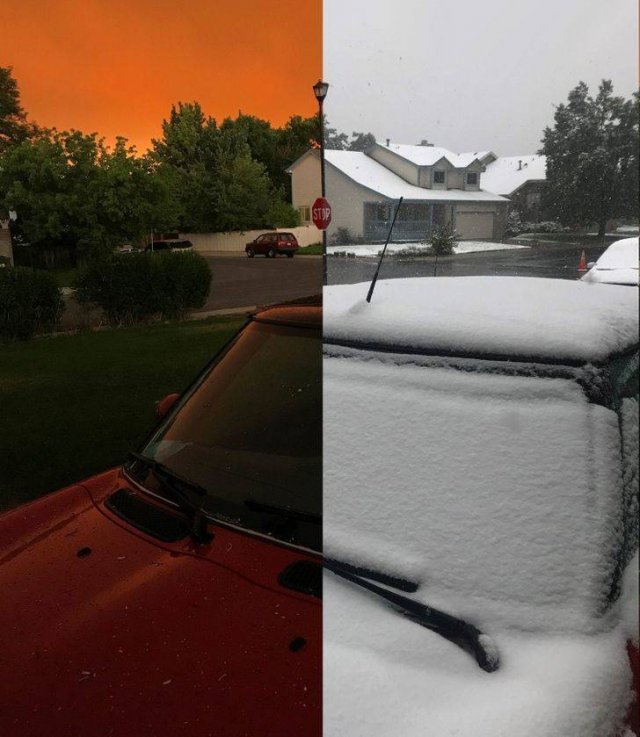 Comparisons Matters (21 pics) Comparisons Matters (21 pics)