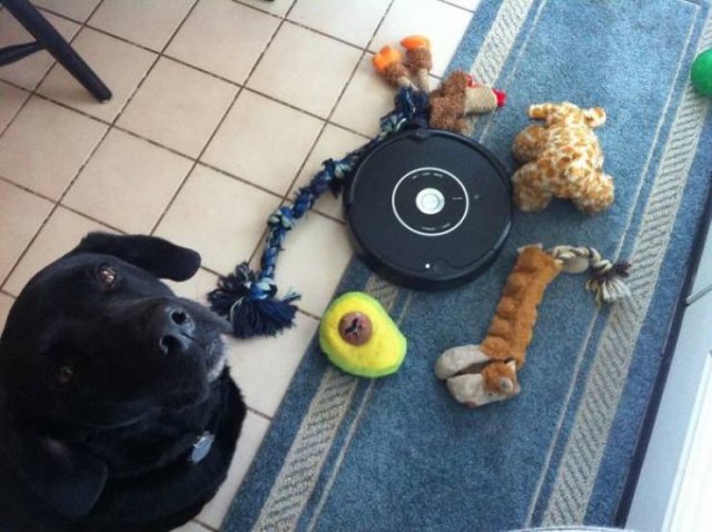 Vacuum Cleaning Fails (50 pics)