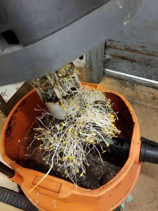 Vacuum Cleaning Fails (50 pics)