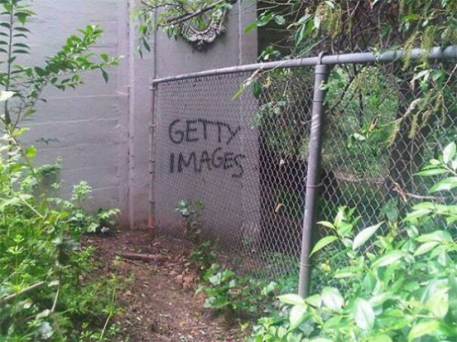 Mild Vandalism (50 pics)