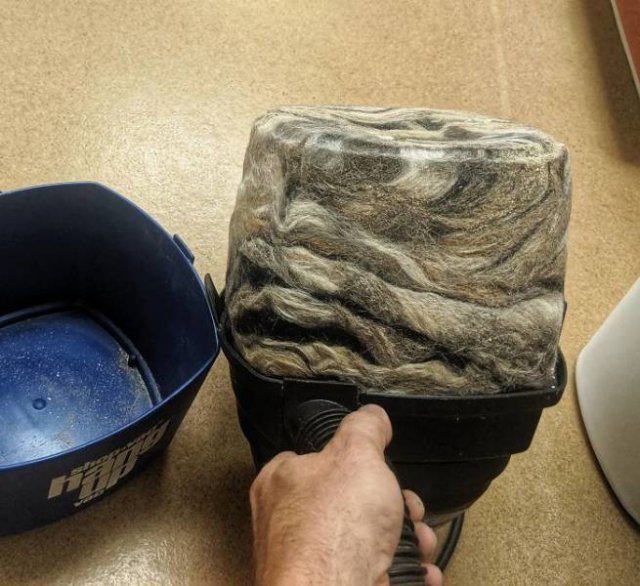Vacuum Cleaning Fails (50 pics)
