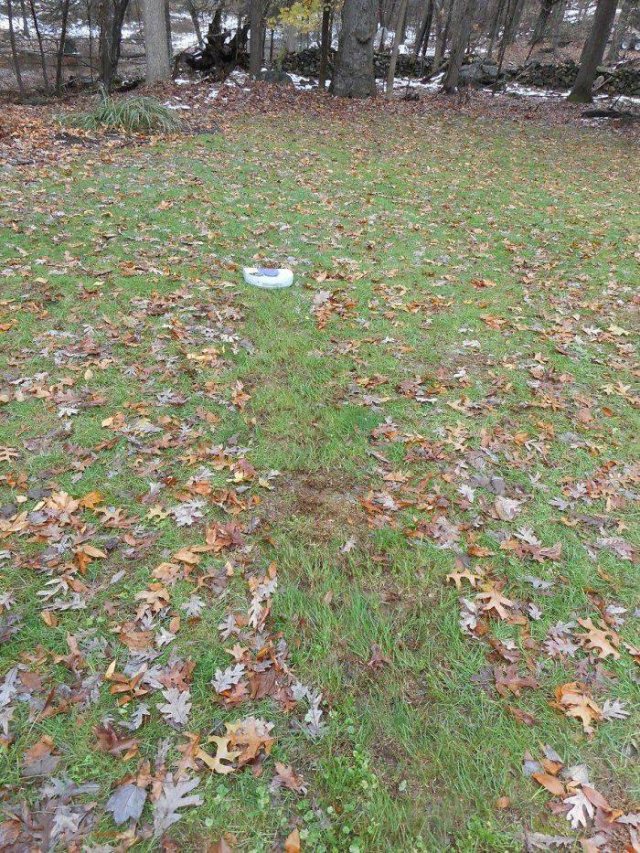 Vacuum Cleaning Fails (50 pics)