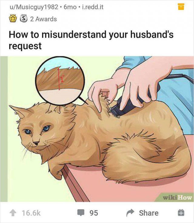 wikihow-weird-articles-51-pics