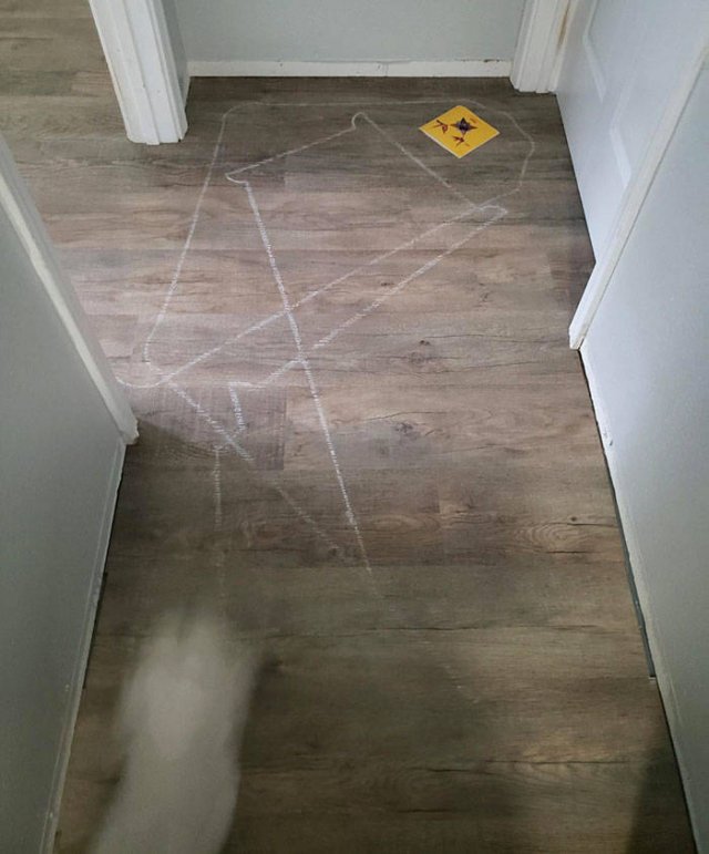Vacuum Cleaning Fails (50 pics)