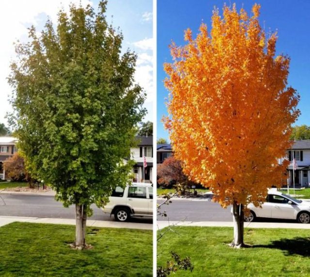 Comparisons Matters (21 pics) Comparisons Matters (21 pics)
