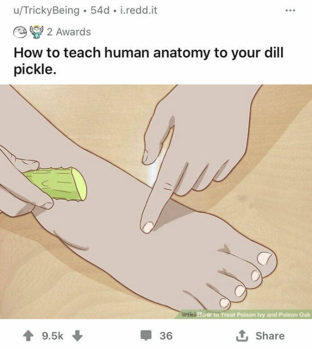 WikiHow Weird Articles (51 pics)