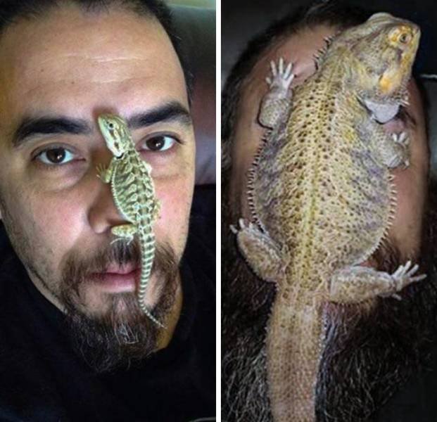 Comparisons Matters (21 pics) Comparisons Matters (21 pics)