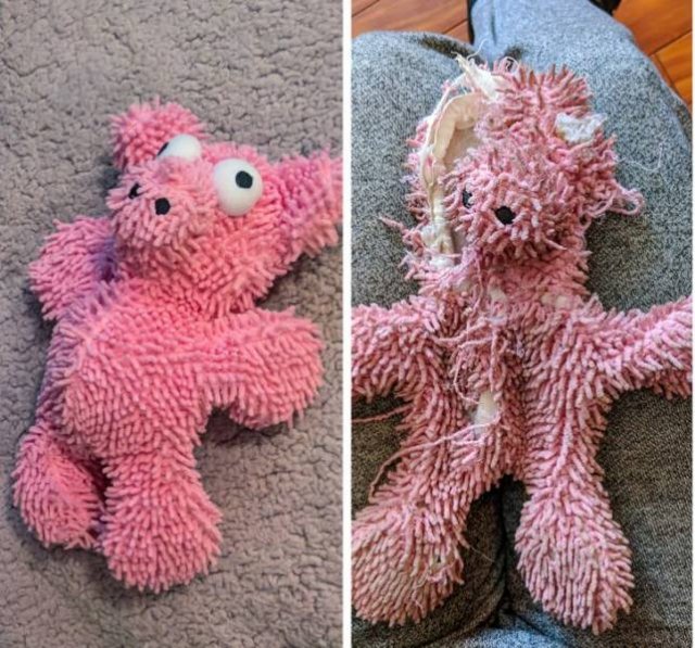 Comparisons Matters (21 pics) Comparisons Matters (21 pics)