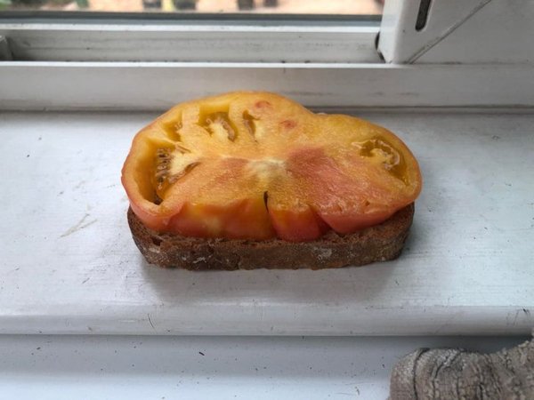 Perfection Is Possible (19 pics) Perfection Is Possible (19 pics)