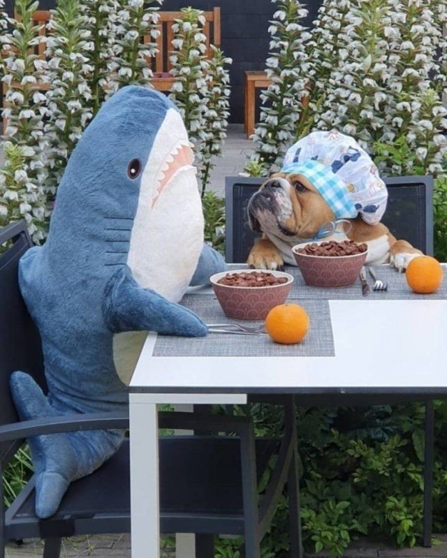 Acid Picdump. Part 1 (95 pics)