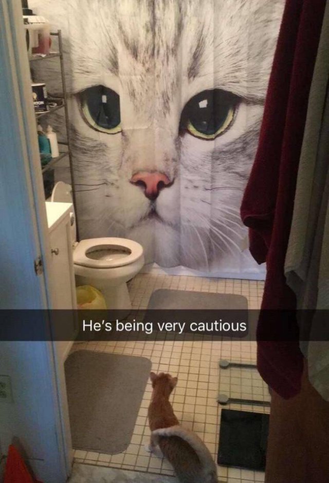 Acid Picdump. Part 1 (95 pics)
