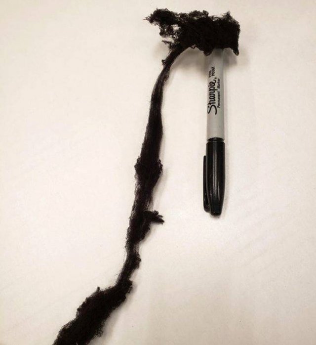 What Happens If... (22 pics)