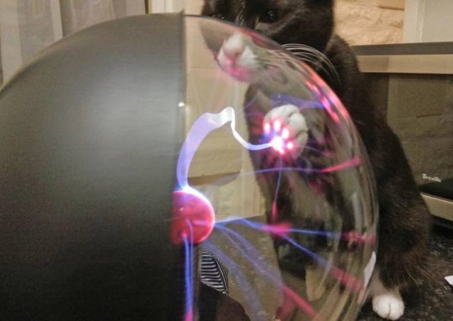 What Happens If... (22 pics)